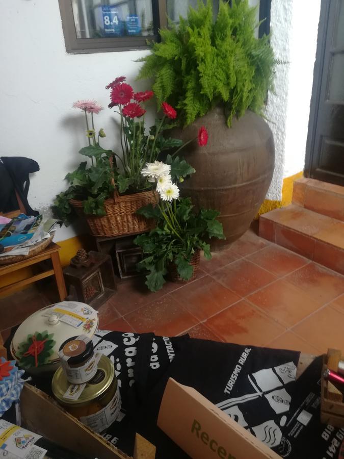 Penzion Terracos Da Beira Segade Exteriér fotografie